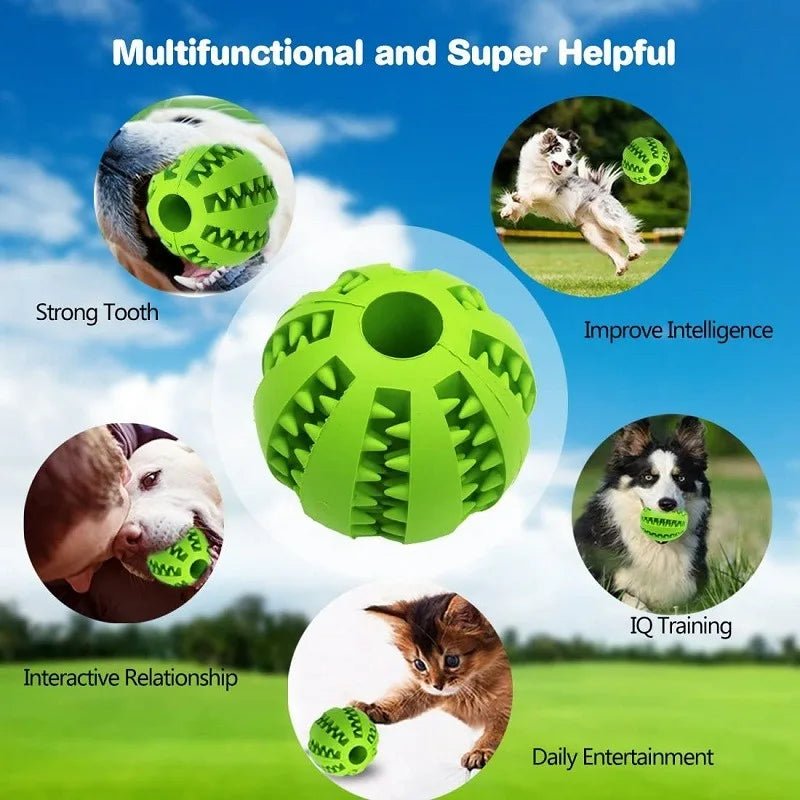 6PCs Rubber Indestructible Treat Dispensing Ball Interactive Pet Ball 🎁 Buy One, Get One FREE! 🛒 Order Now While Supplies Last! - Lucksdeal